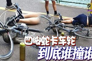 罕見「車禍」！四腳蛇卡車輪到底誰撞誰？撞得兩敗俱傷！