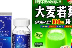 【日本必買藥品】推薦藥妝店暢銷清單，家庭必備避免不時之需！