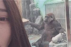 小姨子在動物園跟猩猩自拍後，回來看照片才發現好像哪裡不對勁！
