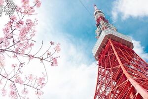 勸「東京鐵塔不要晚上去」當地人揭背後超毛原因