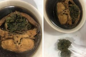 影/藥燉土蝨驚見「超量綠卵」她嫌噁老饕：這是極品