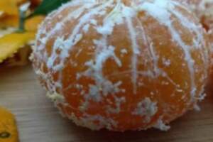 橘子白色的筋絡，比橘子肉更有營養？不要扔，過去20年一直吃錯了