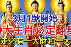 3月1號開始九大生肖必定翻身，轉走必有一大財和一大喜