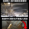 抬頭有１億隻蜘蛛在看著你！5000坪大的蜘蛛絲網你看過嗎？