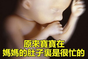 寶寶在子宮裡可忙了，他們忙的事情真讓人驚訝