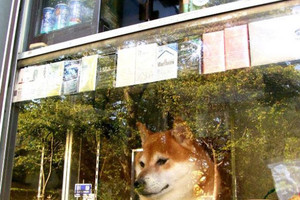日本這家毫不起眼的便利店，可能是世界上最多遊客想到訪的便利店！