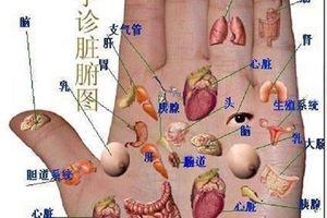 幾乎失傳的手診秘密，看到賺到...一定要分享，別讓它再失傳！