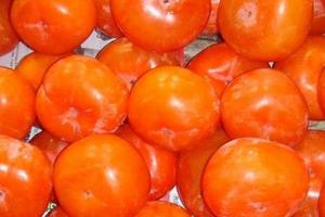 秋季是吃柿子的最佳季節 你知道有哪些好處嗎？