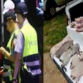 警察攔下一輛可疑「運肉車」發現裡頭有大量不明肉塊，看清屍體後大家全都衝去醫院救命！！