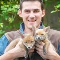 懷孕狐狸媽媽被車撞離世，小哥當機立斷進行剖腹產救下4個狐寶寶!