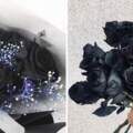 韓國新流行！情人節送「黑色玫瑰花」　花語超霸氣：你永遠只屬於我