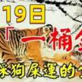 9月19日喜提「一桶金」的生肖，腳踩狗屎運