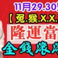 11月29.30號（兔.猴.X.X.馬）隆運當頭，金錢滾滾來