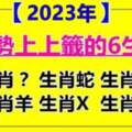 2023年運勢上上籤，六大生肖苦盡甘來，橫財發不停