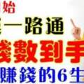 9月開始財運一路通，數錢數到手軟，最會賺錢的六生肖