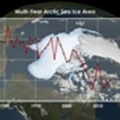 美研究：北極冰層縮減 與致命動物疾病散播有關