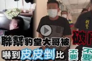 「別動，不要動！趴下！」竹聯幫「豹堂大哥」嚇壞揮手求饒，警問：「有什麼好怕的，你豹堂的堂主耶！」