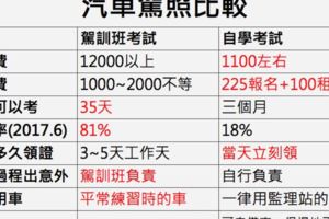 學習駕照e化規費省50元下載到手機即可練開車7月上路~