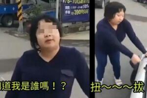 桃園蹦蹦姊超鬧「你知道我是誰嗎？」街頭大力嬤嬤掌….屌虐路人全傻看：我只服她(影)