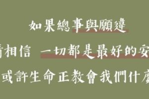 如果事與願違，請相信「一切都是最好的安排」或許生命正在教會我們什麼！