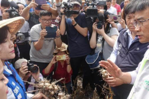 進口蒜都是拿去種不影響市場？網友冷回一句神打臉陳吉仲
