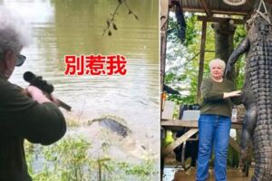 史上最愛記仇！「養的馬被鱷魚吃掉」73歲阿嬤足足記恨3年…一槍把牠爆頭