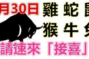 9月30日生肖運勢_雞、蛇、鼠大吉