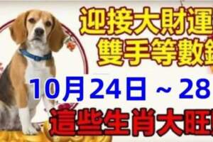 10月24日～28日迎接大財運，這些生肖大旺財