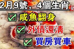 12月9號鹹魚翻身，外債還清的生肖