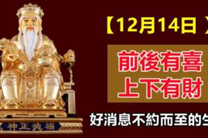 【12月14日】前後有喜，上下有財，好消息不約而至的生肖