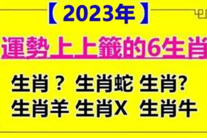 2023年運勢上上籤，六大生肖苦盡甘來，橫財發不停