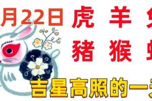 2月22日十二生肖【每日老黃歷】