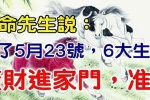 過了5月23號橫財進家門的六大生肖