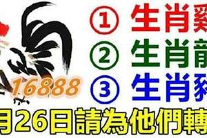 （雞，龍，豬）5月26日請為他們轉走