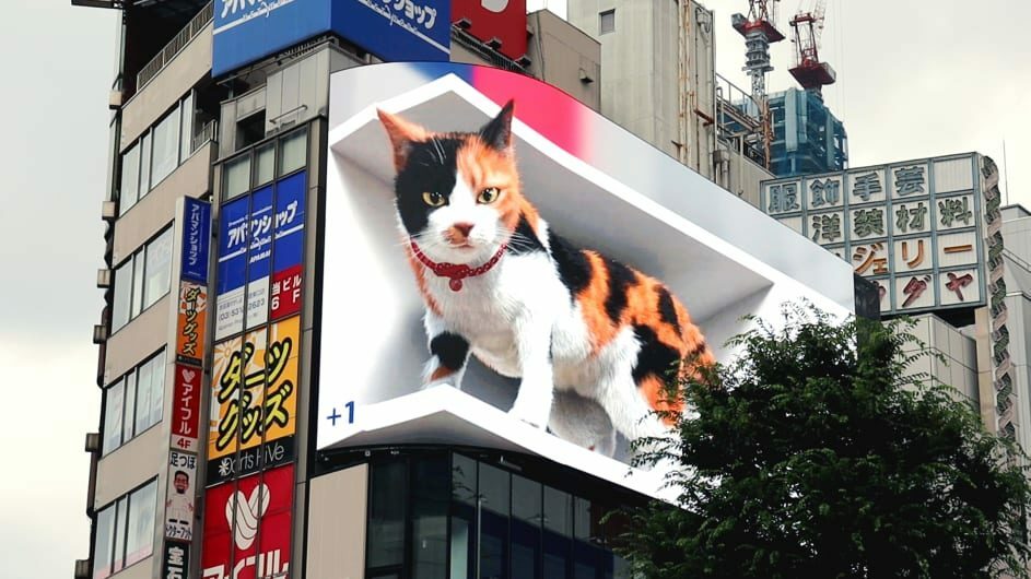東京3D巨貓