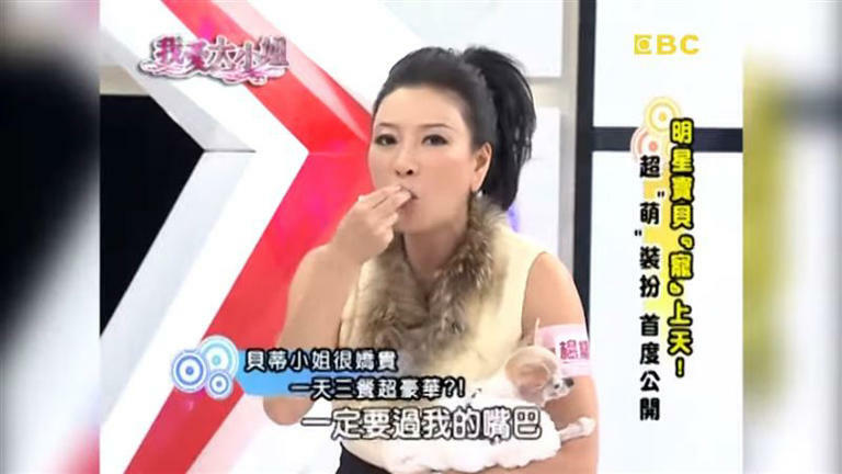楊繡惠都會咬過食物再餵狗狗吃。(圖/翻攝自我愛大小姐YouTube) 楊繡惠都會咬過食物再餵狗狗吃。(圖/翻攝自我愛大小姐YouTube)