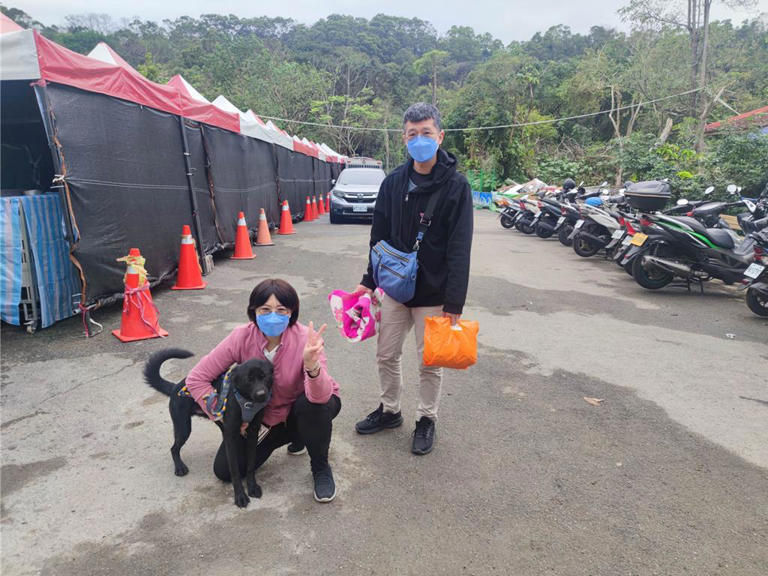 「Andy」介紹影片在上架2天後讓牠迅速被認養,開始了新生活。(新北動保處提供) 「Andy」介紹影片在上架2天後讓牠迅速被認養,開始了新生活。(新北動保處提供)