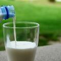 羊奶被稱為「奶中之王」，羊奶、牛奶，到底喝哪種奶最好？告訴你