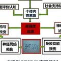 如何應對在養龜過程中，烏龜出現的各種應激反應？