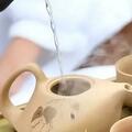 10個你一直想知道的關於茶的問題，統統解答！