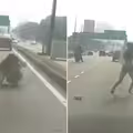 女子突打開車門！「行駛中跳車」原因曝光