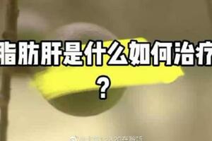 脂肪肝如何治療？