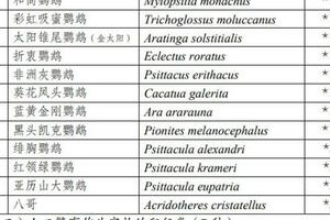 哪些鸚鵡可能開放？名單來了