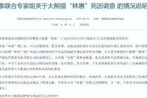 官方通報大熊貓林惠死因