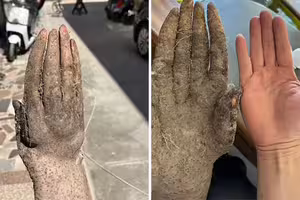 以為是人手！菜園挖出「異形山藥」　驚人收購價曝光