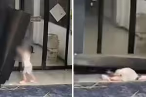 女童玩耍扒倒貨架 慘遭砸中頭部 女童玩耍扒倒貨架 慘遭砸中頭部