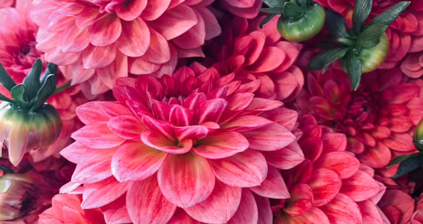 財神保佑！3生肖「財運爆發」　貴人福運降臨