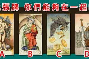 【蘇格蘭童話塔羅牌】我們能夠在一起嗎！