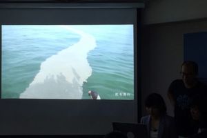 高雄紅毛港外海綿延1公里的「拿鐵奶泡」原來是這個