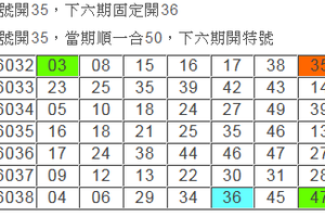 08/04 六合 天衣無縫 三六來補